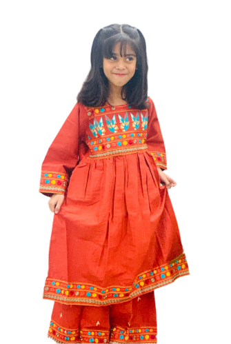 Winter Frock -